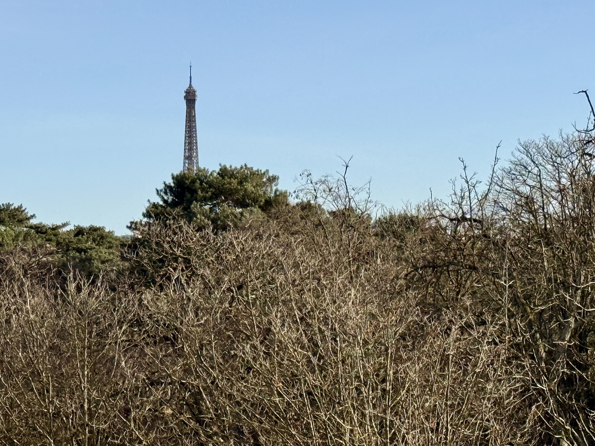 Neuilly - Vue unique sur le bois — Foto 7
